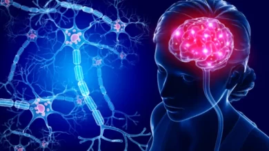 Un implante cerebral entrenado con inteligencia artificial permitió a un paciente bilingüe recuperar el habla