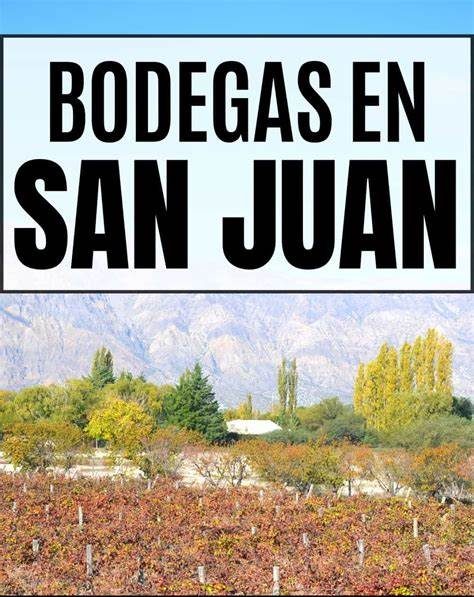 Juan Carlos Hidalgo (Desarrollo Vitivinicola): «Son 38 las bodegas que están ya incluidas dentro de la ruta del vino».