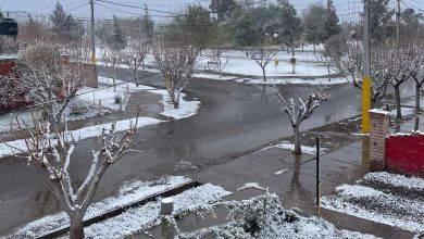 Foto: Diario Huarpe.