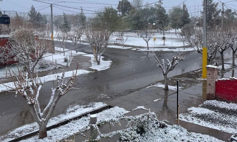 Foto: Diario Huarpe.